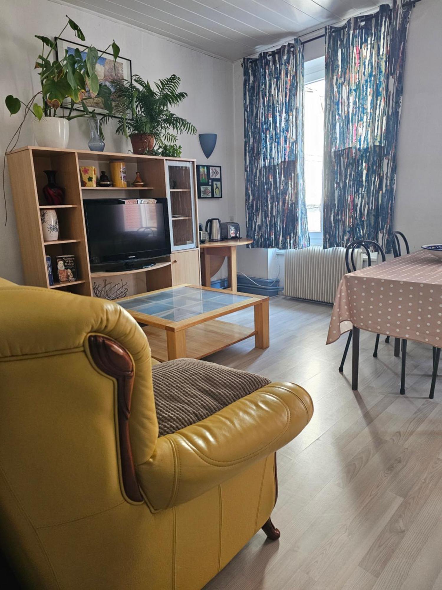 Felicita Vintage Appartements - Colmar City Center Zewnętrze zdjęcie